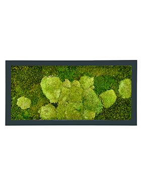 Moss Painting Stiel Rectangle