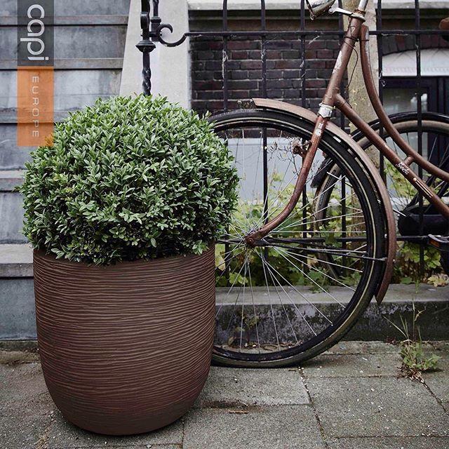 Round Egg Resin Planter by Cadix Capi Tutch Ribbed Round Egg Resin Planter by Cadix Capi Tutch Ribbed