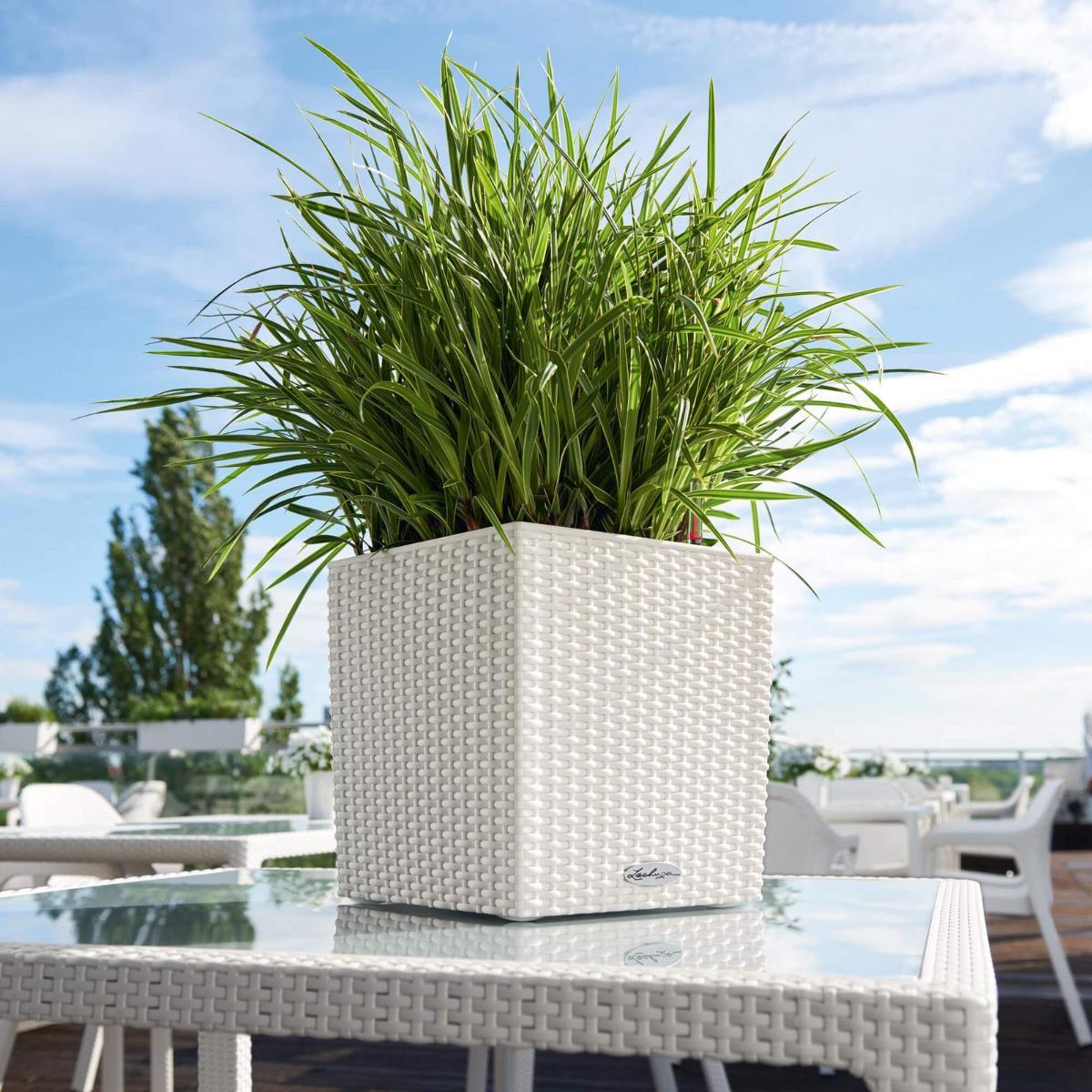 LECHUZA CUBE Cottage Square Poly Resin Self-watering Planter