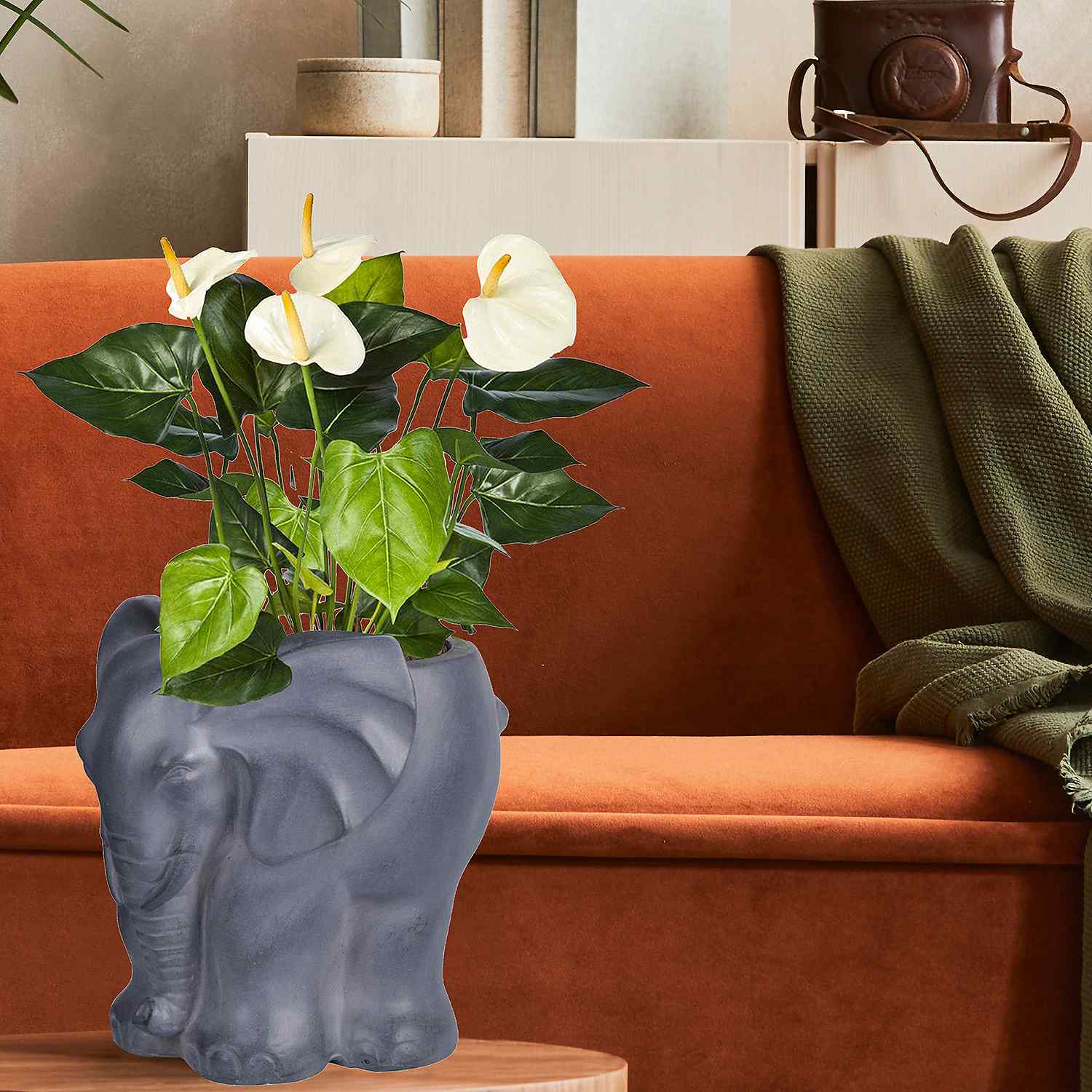IDEALIST Lite Elephant Plant Pot Indoor