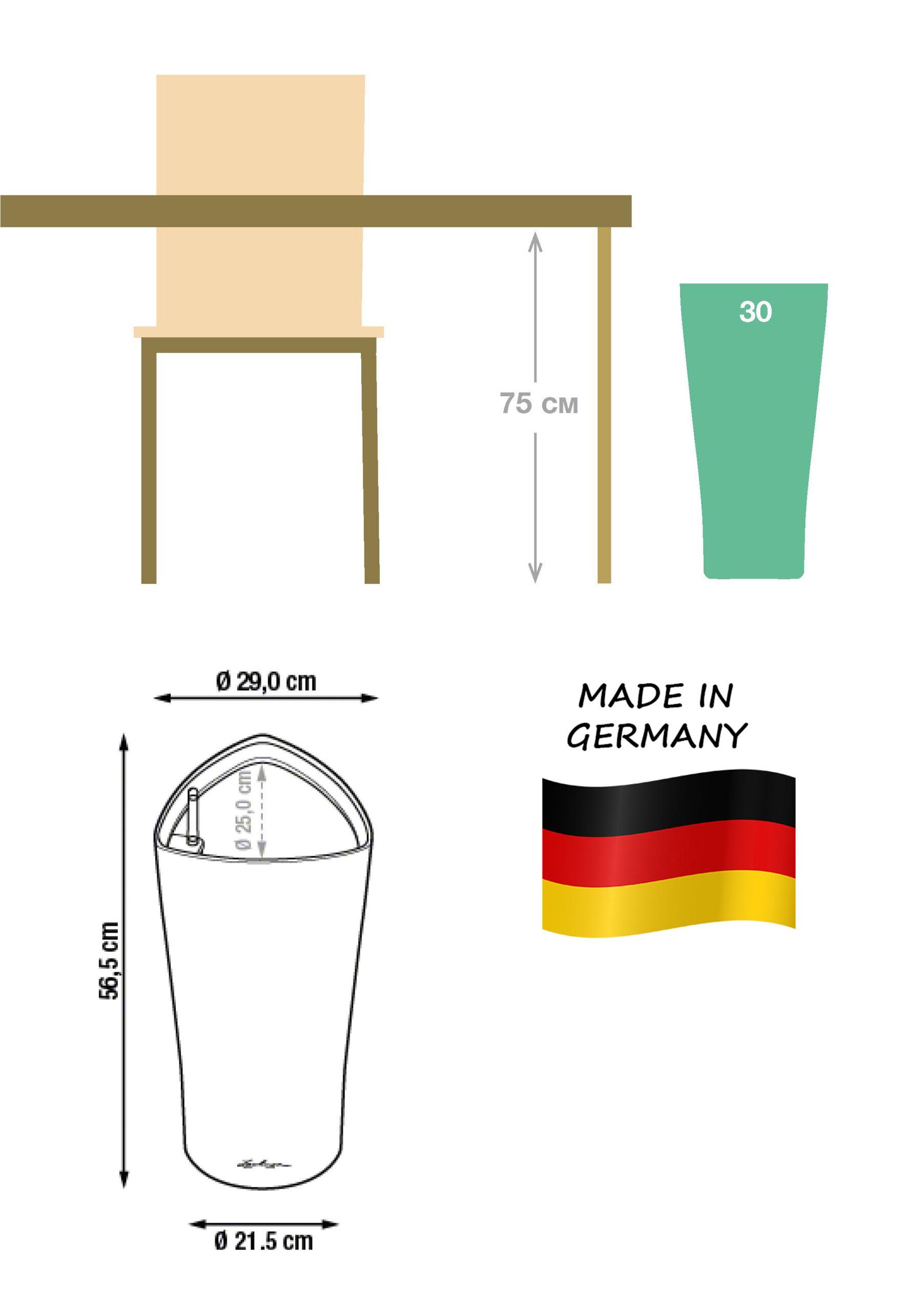 Blooming Cymbidium Orchid in LECHUZA DELTA Self-watering Planter, Total Height 120 cm