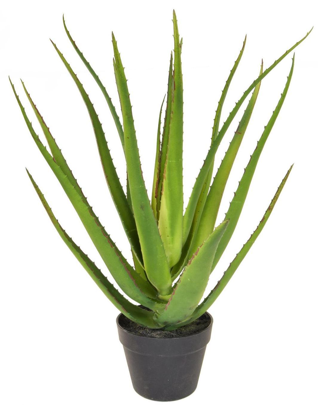 Aloe with Pot Artificial Flower Plant