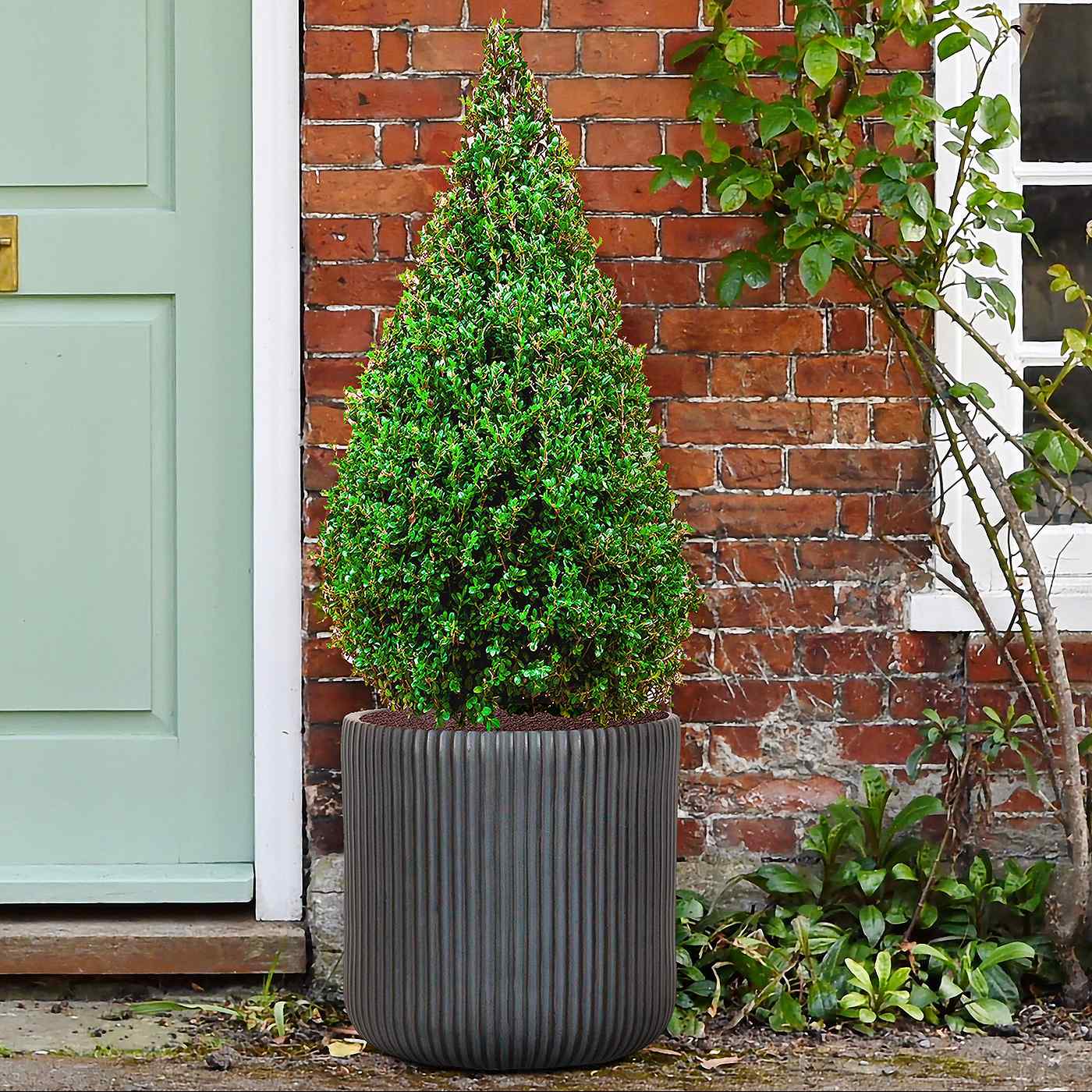 IDEALIST Lite Ribbed Round Outdoor Planter