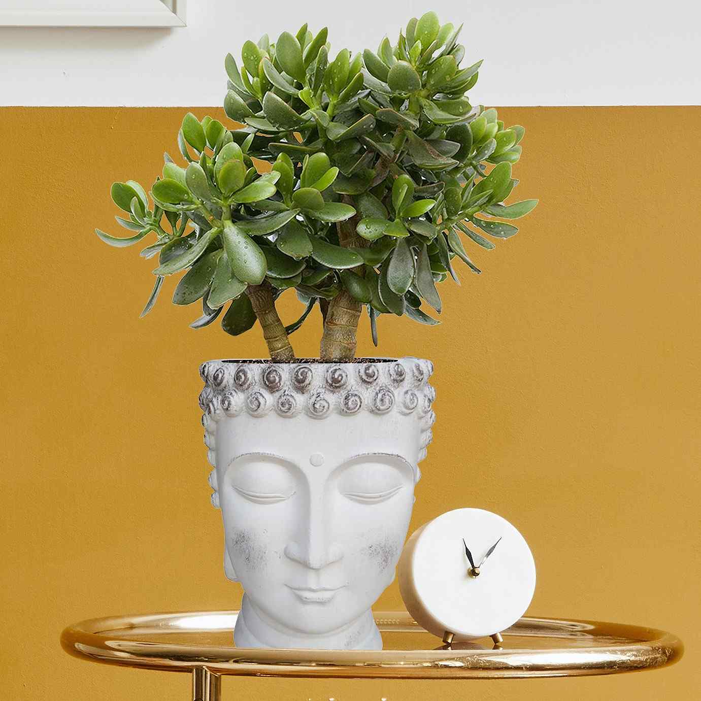 IDEALIST Lite Buddha Face Plant Pot Indoor