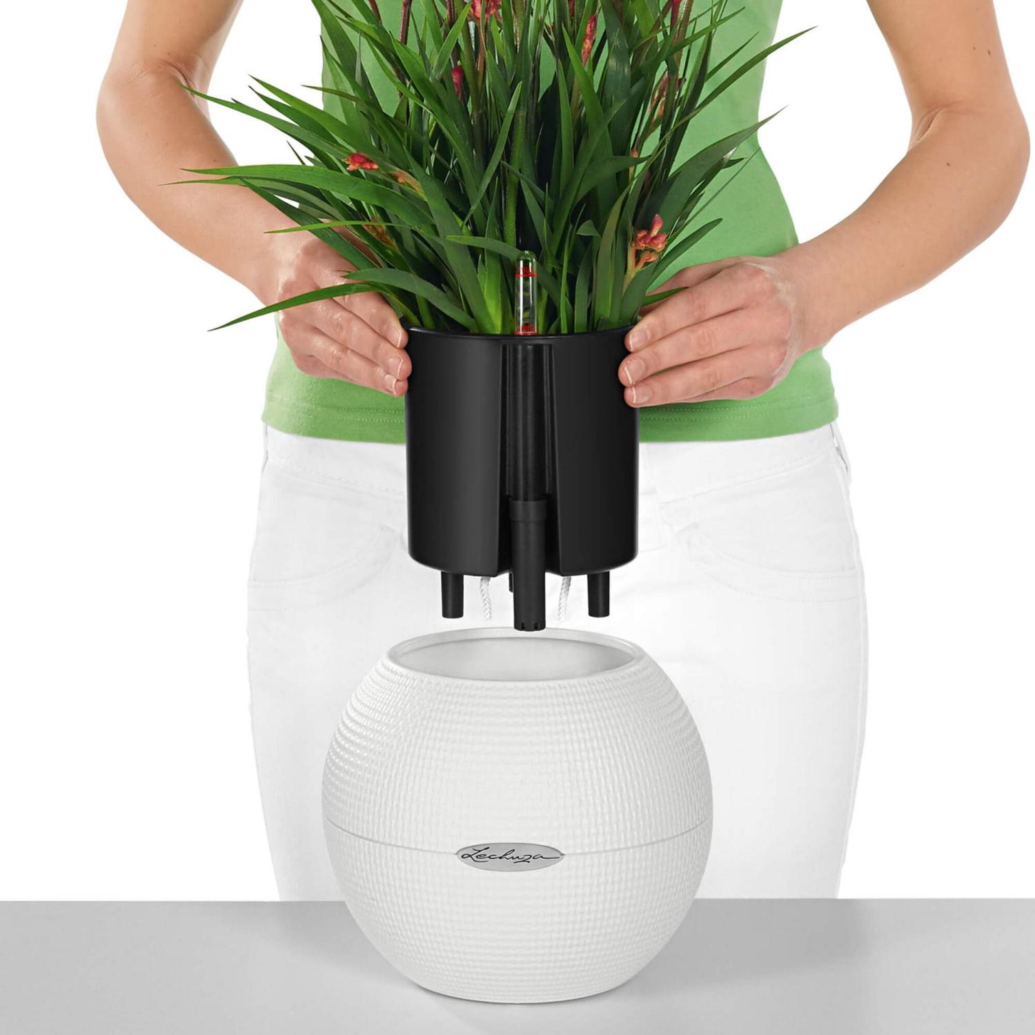 LECHUZA PURO Color Round Poly Resin Self-watering Planter