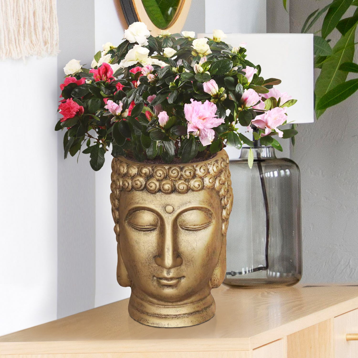IDEALIST Lite Buddha Face Plant Pot Indoor