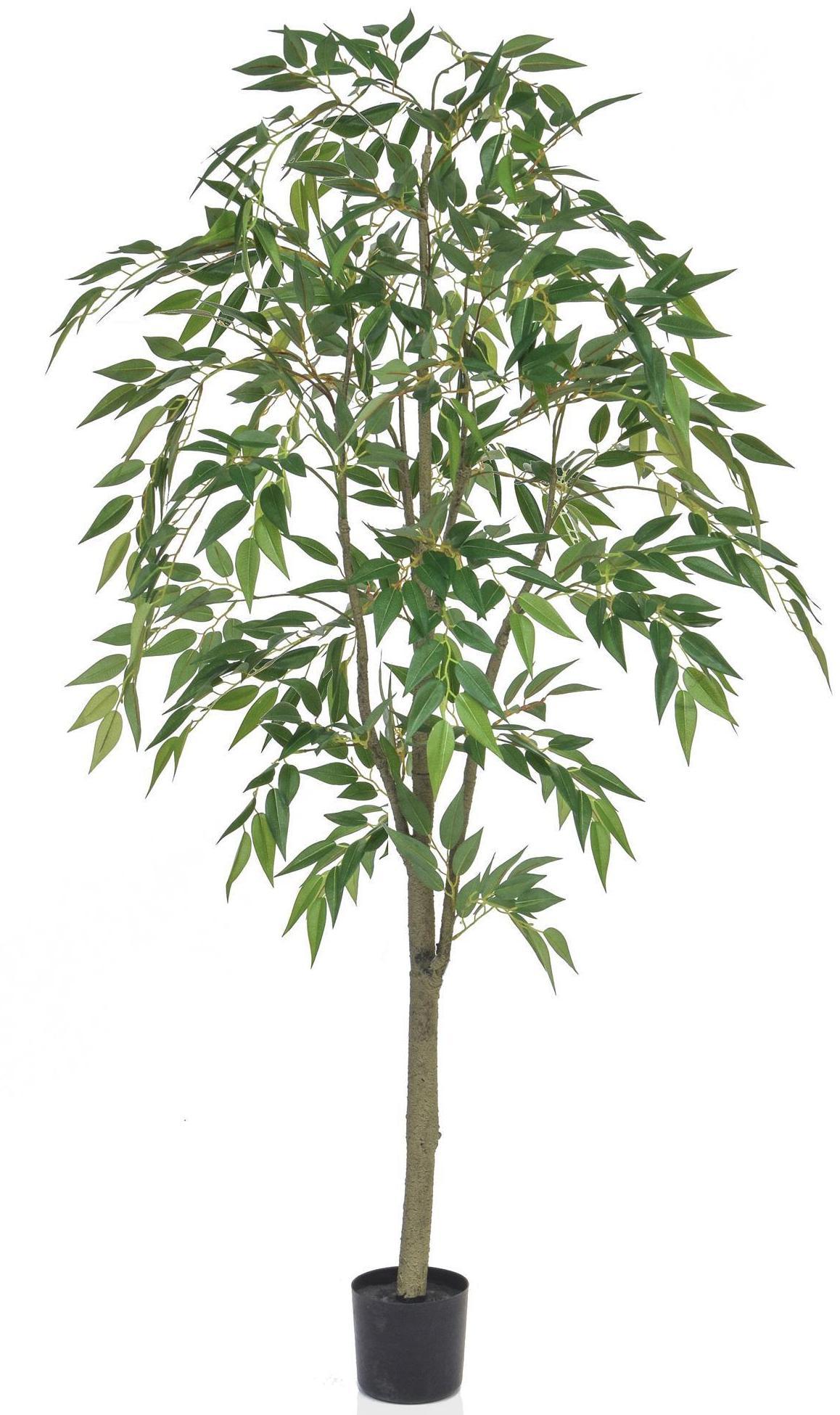 Ficus Benjamin Artificial Tree Plant