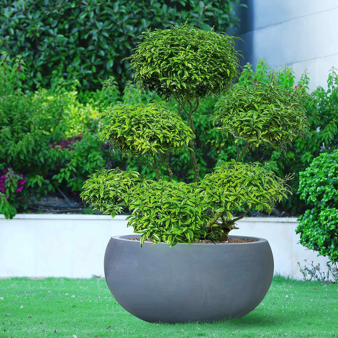 IDEALIST Lite Classic Smooth Bowl Outdoor Planter