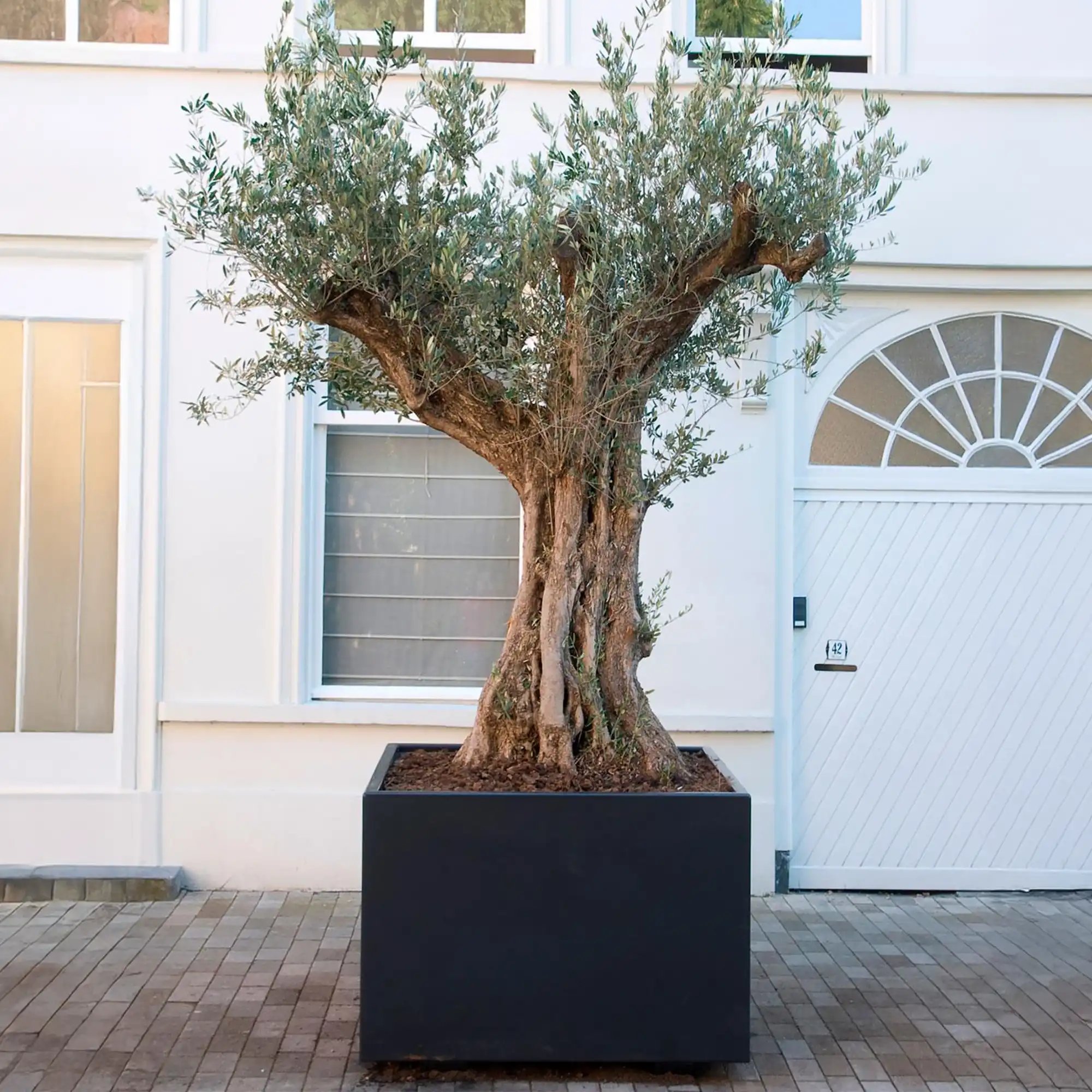 Florida Outdoor Aluminum Square Planter