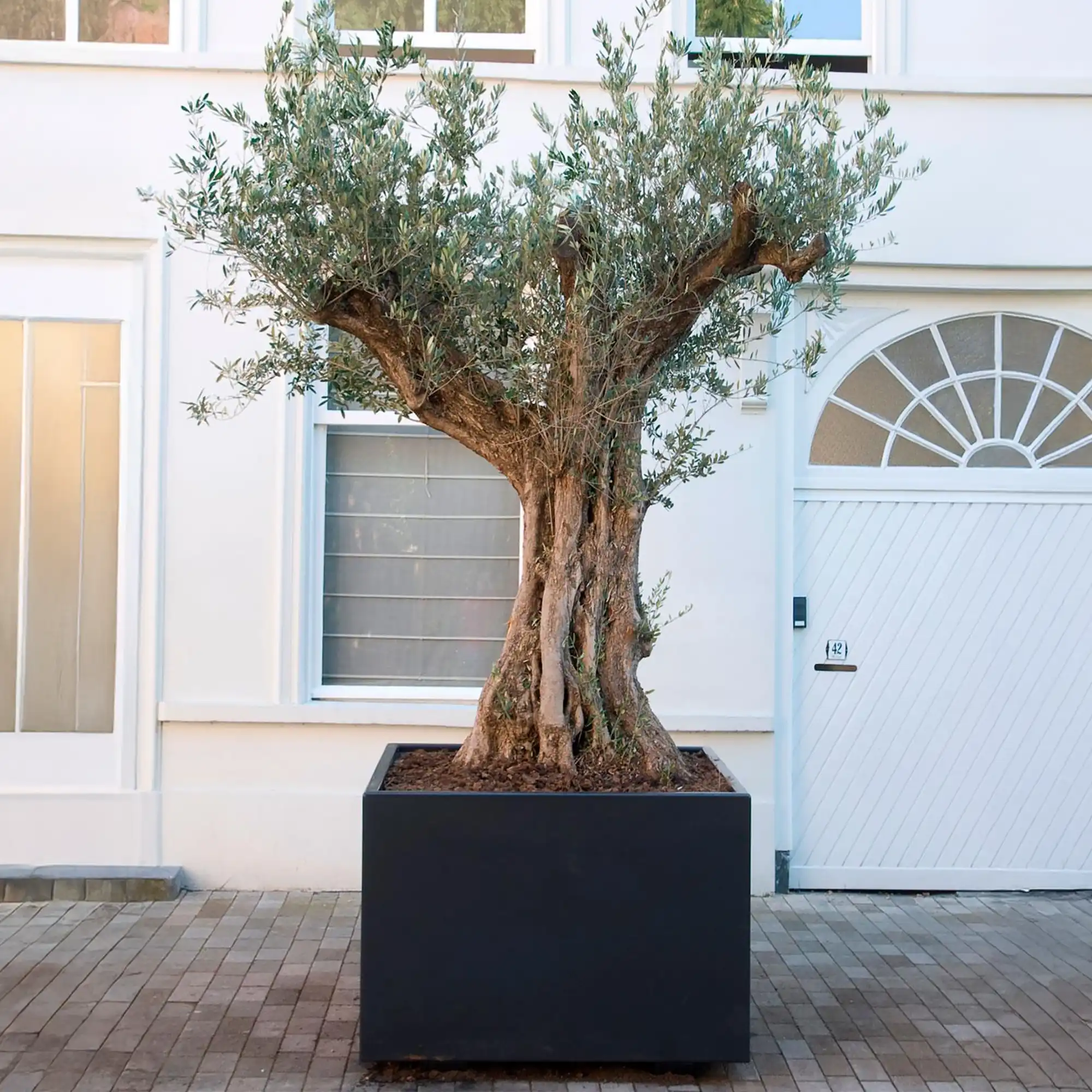 Florida Outdoor Aluminum Square Planter