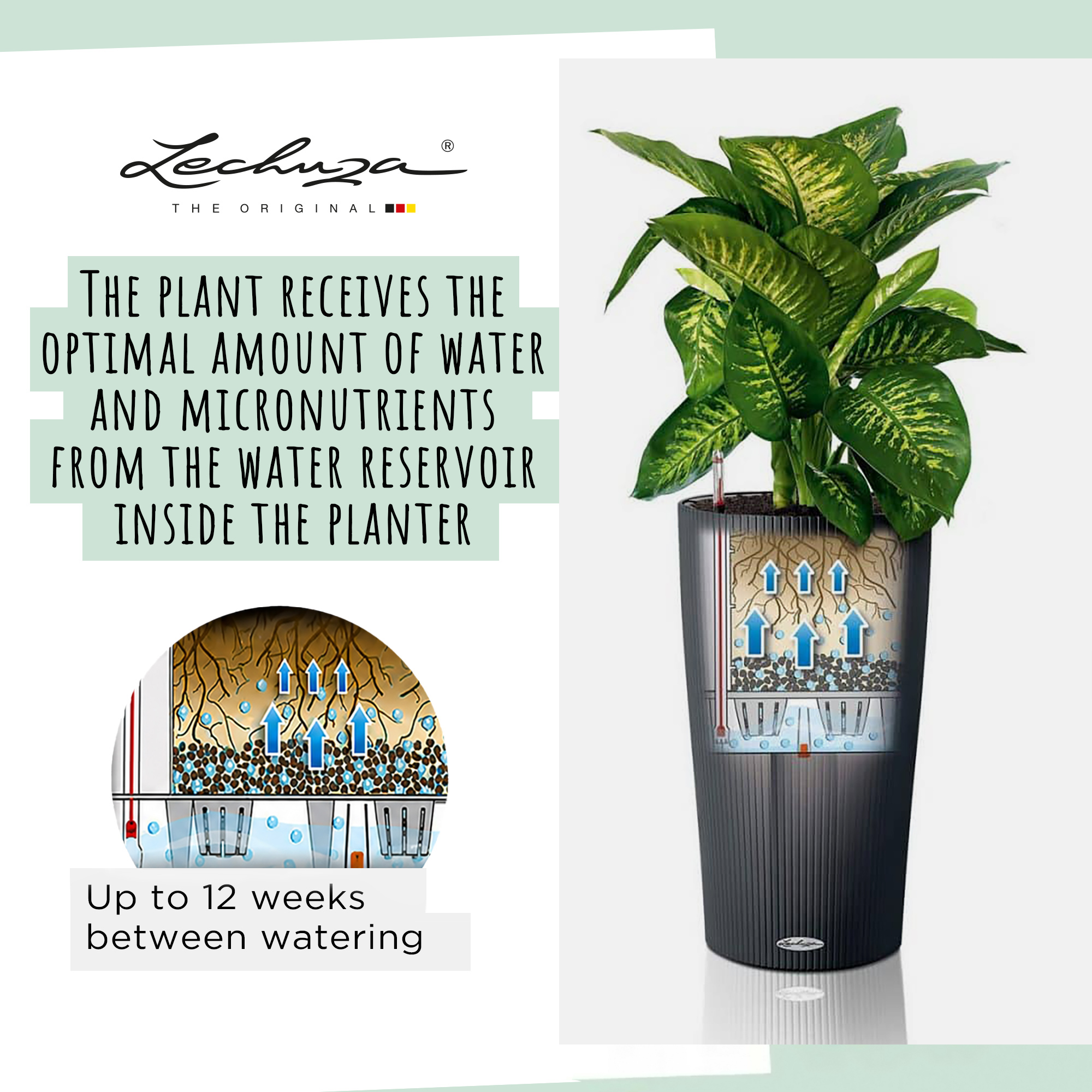 LECHUZA CILINDRO Color Round Tall Poly Resin Self-watering Planter