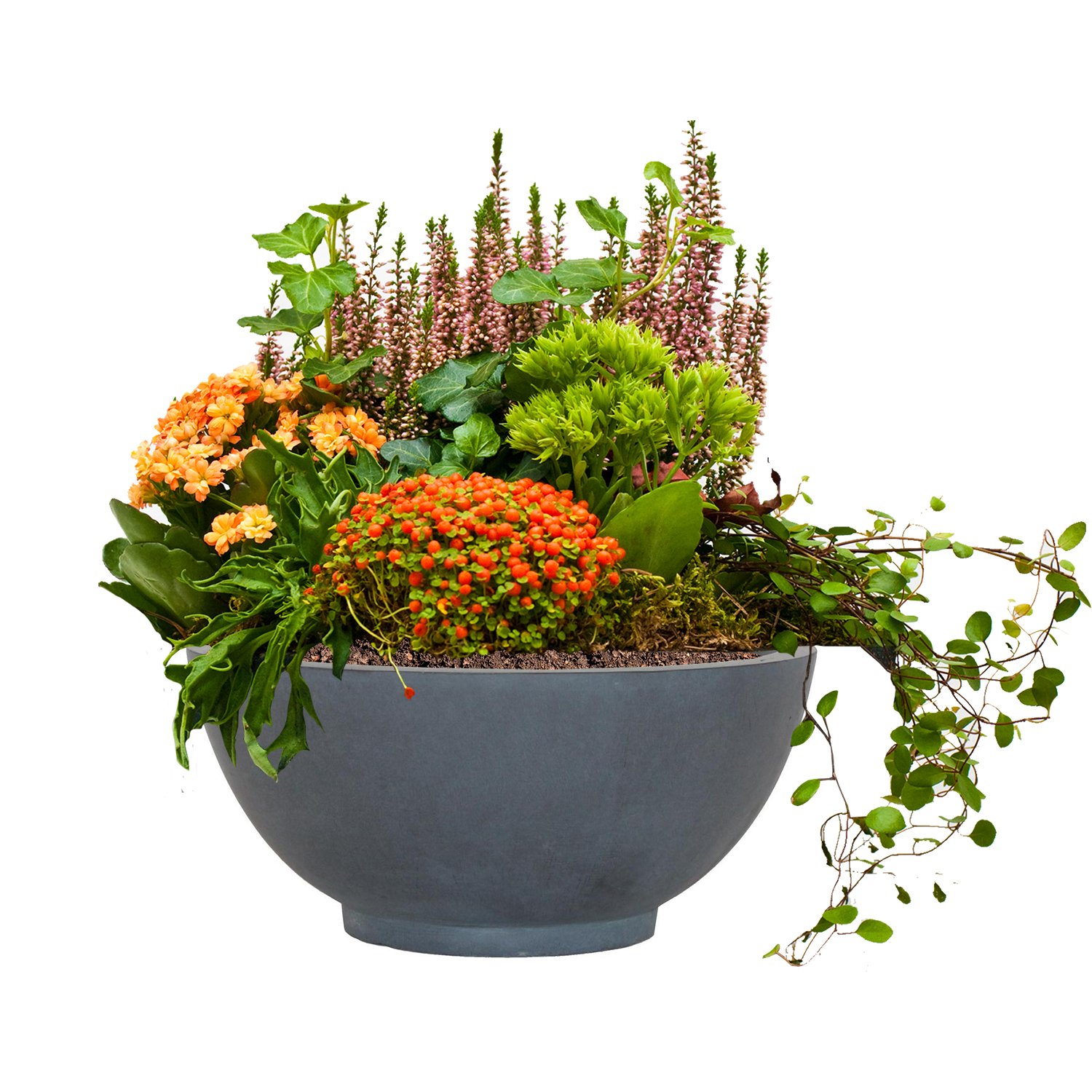 IDEALIST Lite Dish Style Smooth Bowl Outdoor Planter