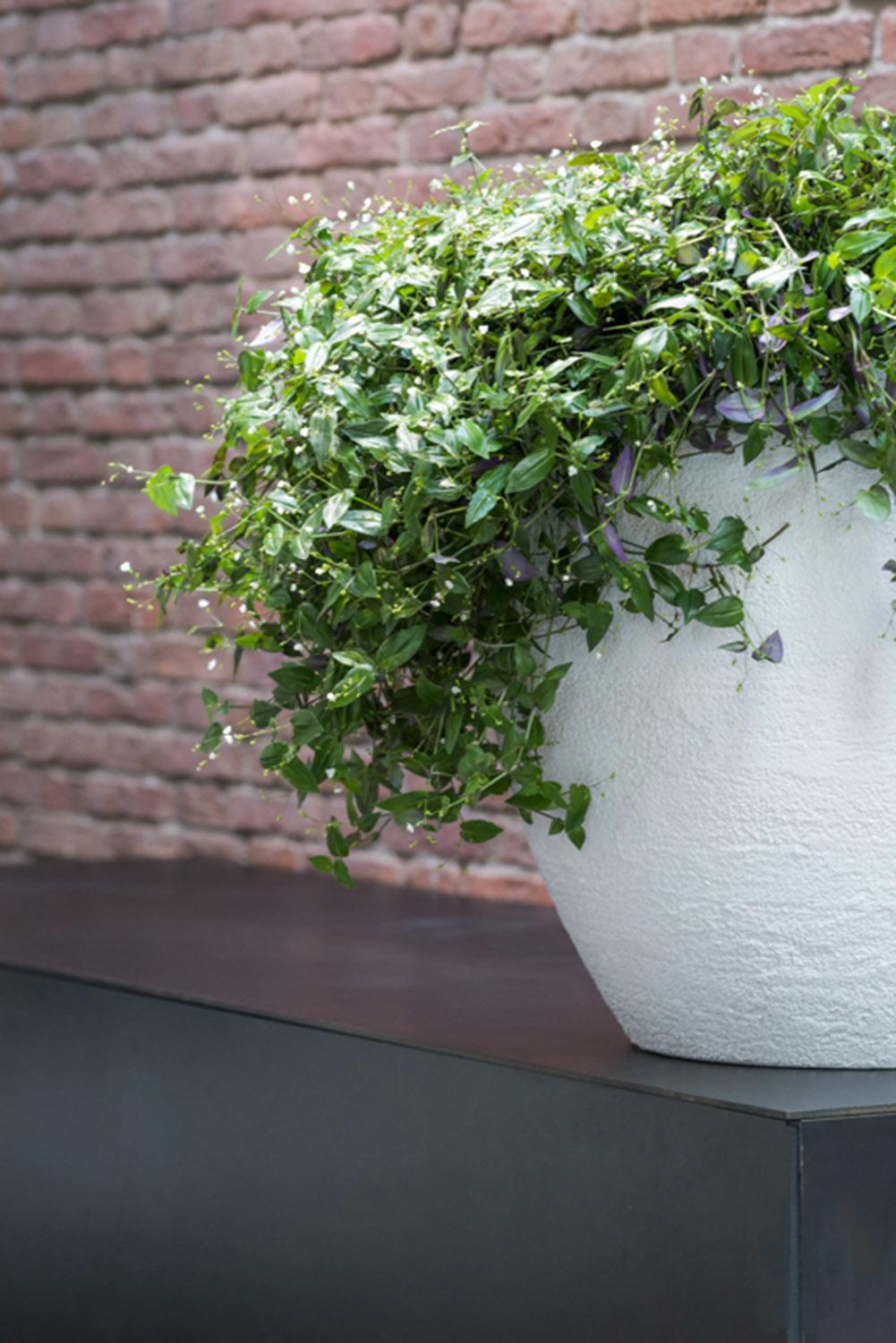 Fibrestone Jesslyn Round Planter by Idealist Premium