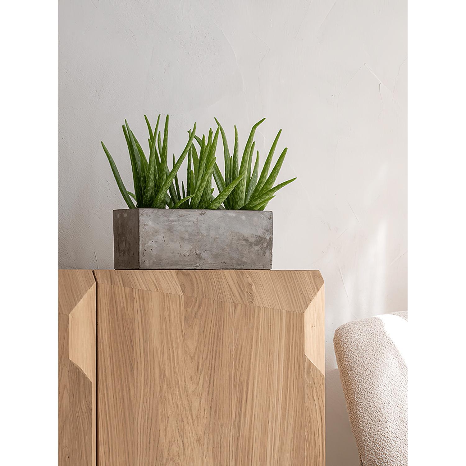 Concrete Alice Rectangle Planter by Idealist Premium