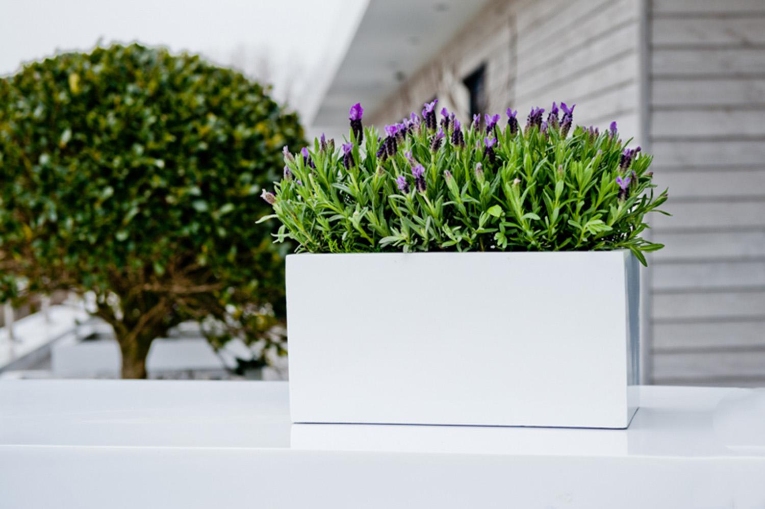 WINDOW BOX Fiberstone Planter by Idealist Premium Balcony Glossy