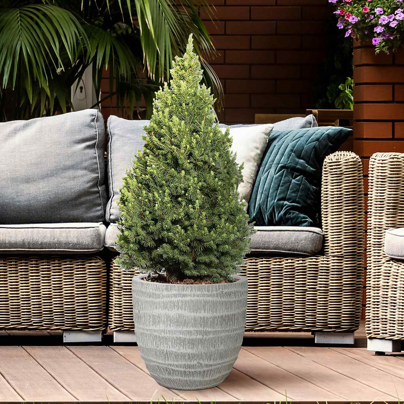 IDEALIST Lite Straw Plaited Style Egg Planter