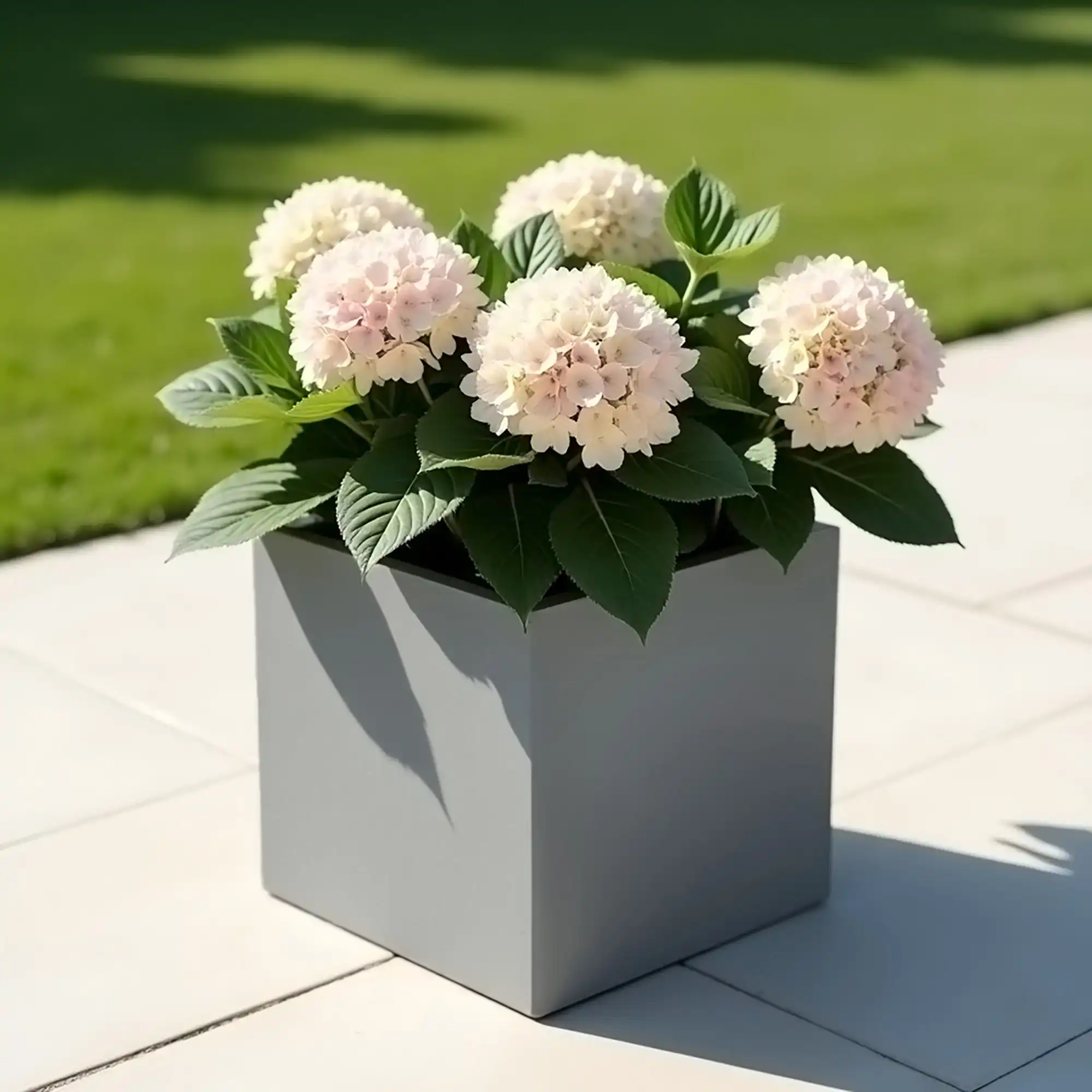 IDEALIST Lite Square Box Contemporary Light Concrete Planter