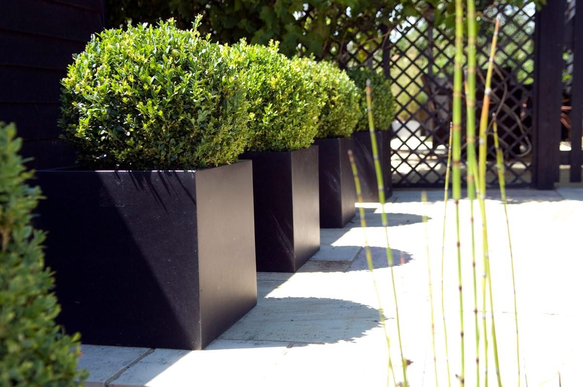 Raised Trough Fiberstone Contemporary Planter by Cadix Capi Lux
