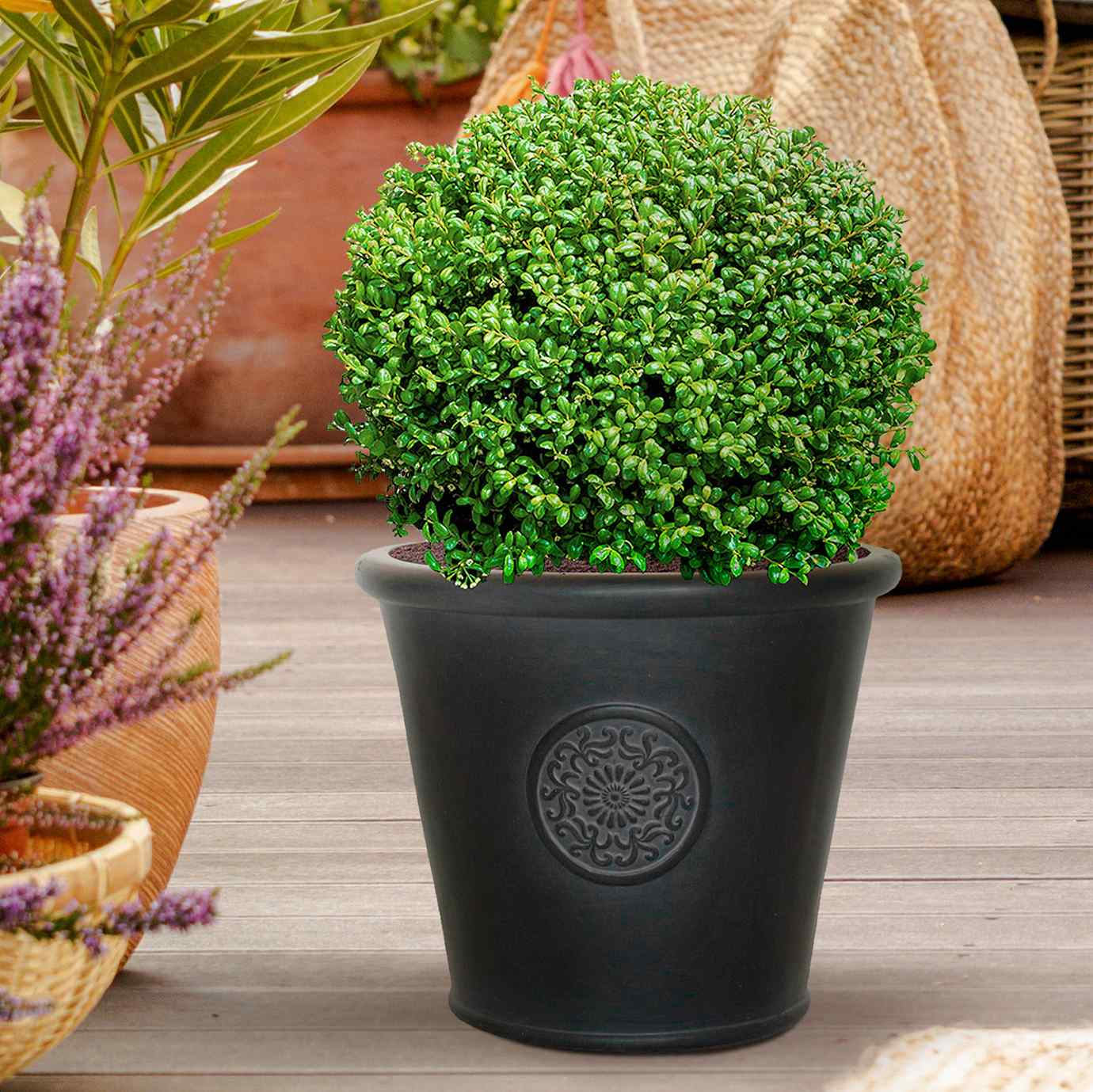 IDEALIST Lite Rustic Style Rolled Rim Wide Vase Outdoor Planter