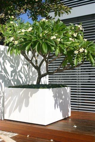 Florida Outdoor Aluminum Square Planter