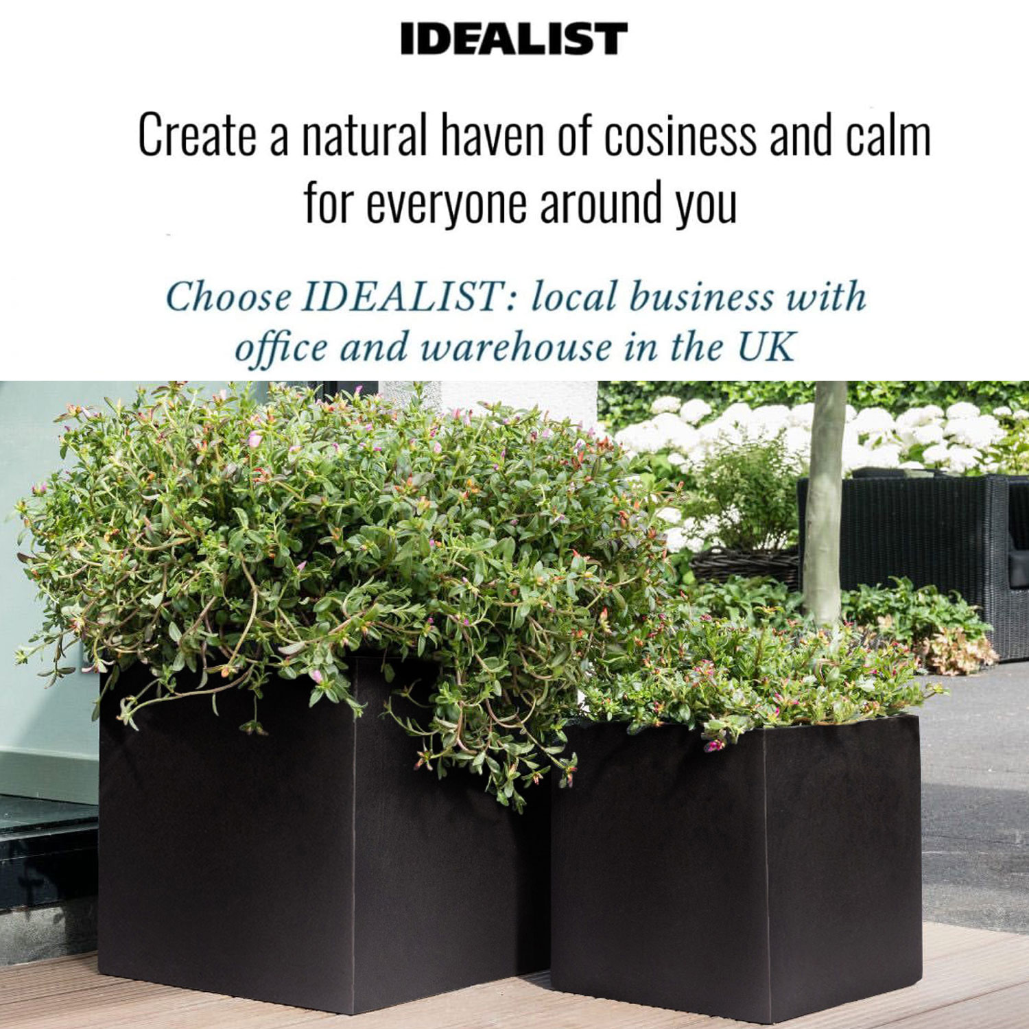 IDEALIST Lite Square Box Contemporary Light Concrete Planter