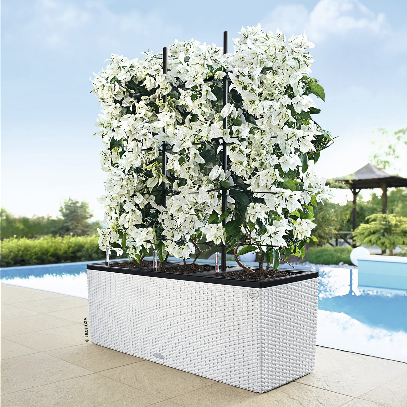 LECHUZA TRIO Cottage Trough Poly Resin Self-watering Planter