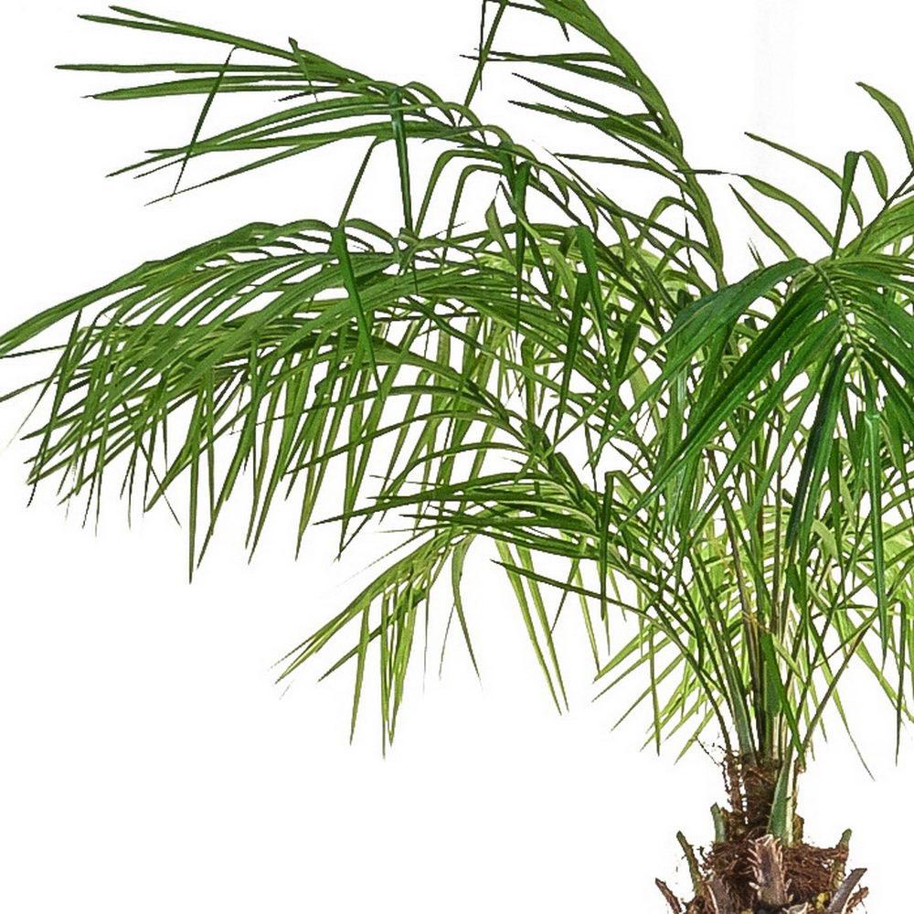 Palm Phoenix Flame Retardant Artificial Tree Plant