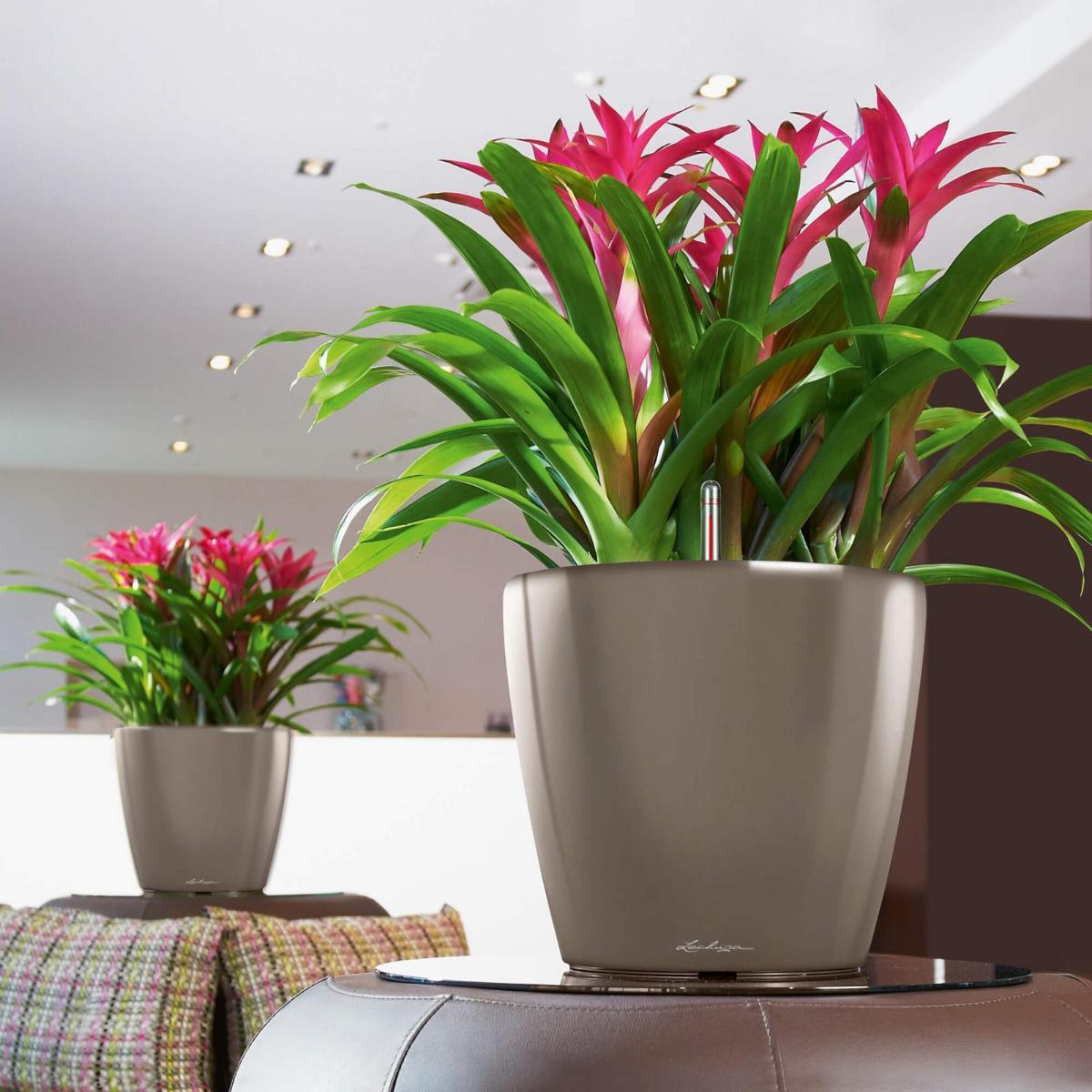 LECHUZA CLASSICO LS Round Poly Resin Self-watering Planter