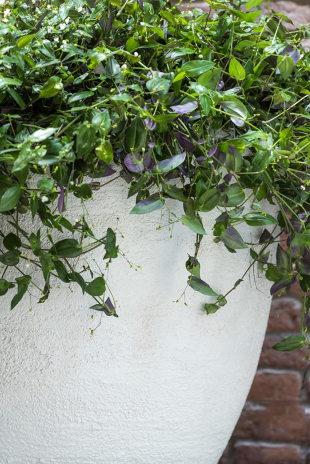 Fibrestone Jesslyn Round Planter by Idealist Premium