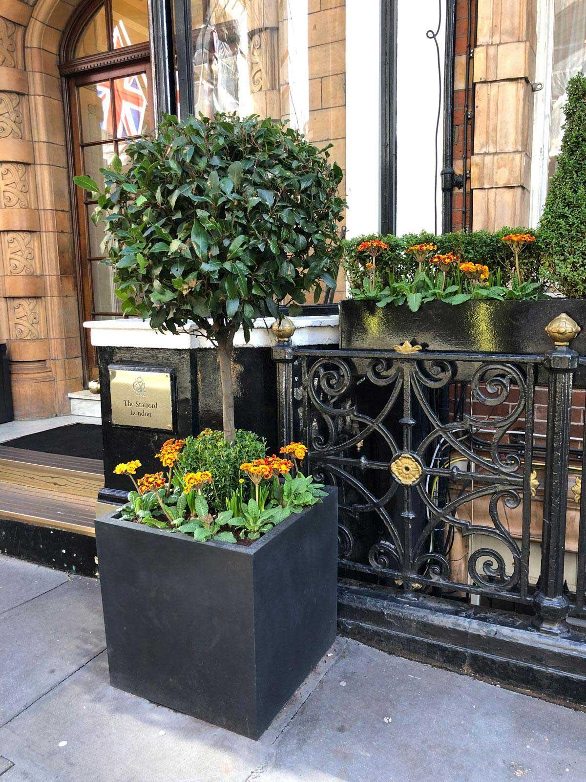 IDEALIST Lite Square Box Contemporary Light Concrete Planter