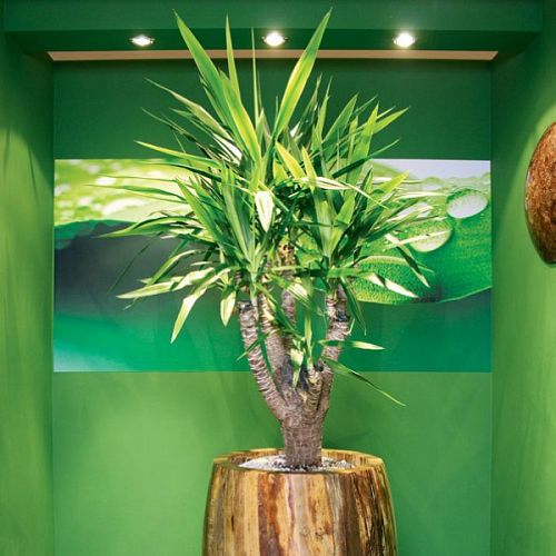 Banana Round Tall Polystone Indoor Planter