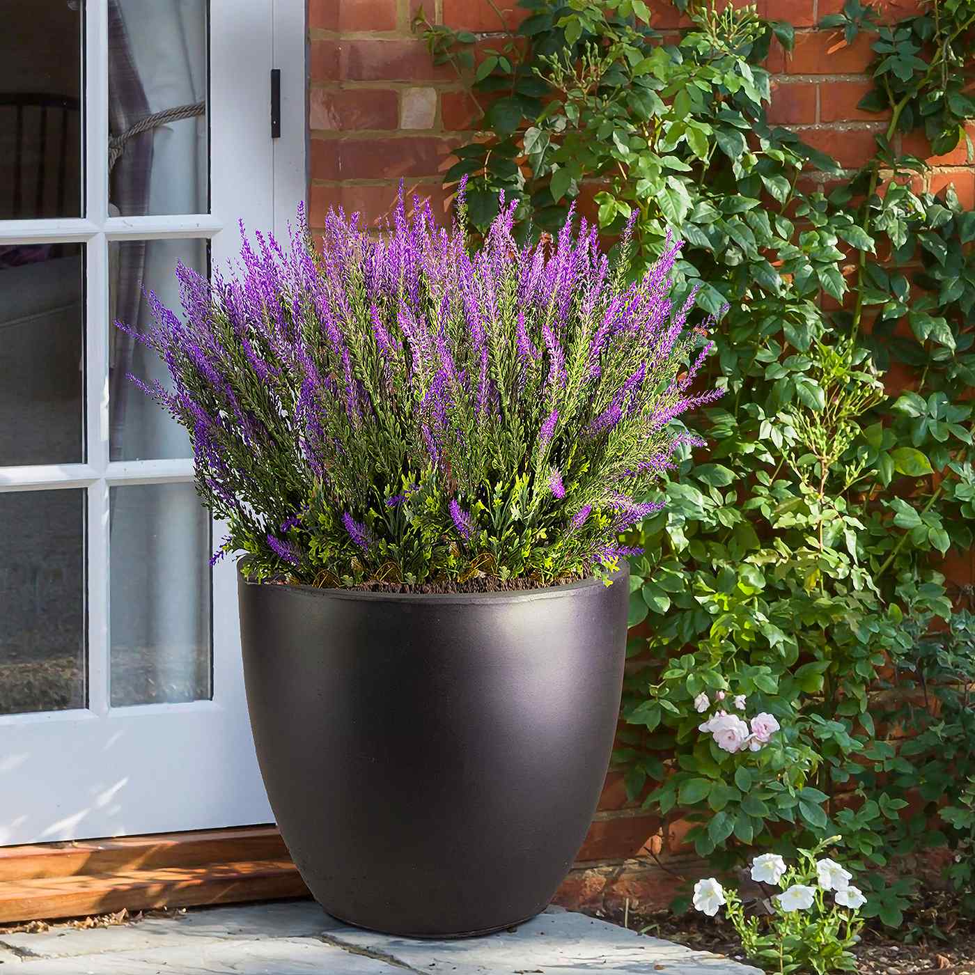 IDEALIST Lite Contemporary Light Concrete Egg Planter