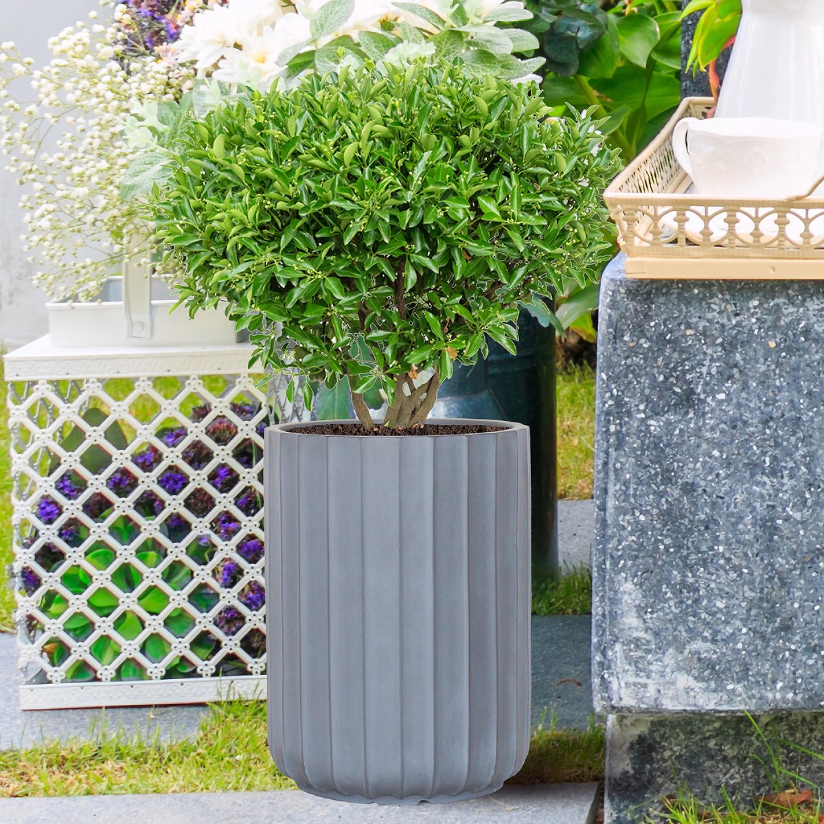 How to plant and grow plants in plastic pots: use guide How to plant and grow plants in plastic pots: use guide