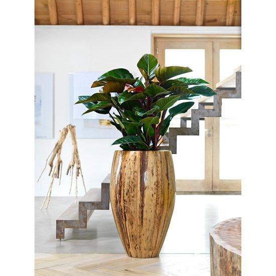 Banana Round Tall Polystone Indoor Planter
