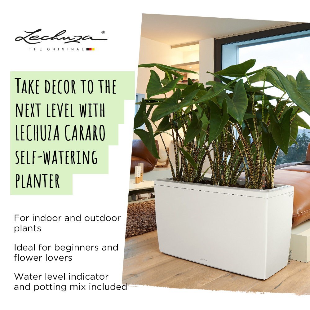 LECHUZA CARARO Trough Poly Resin Self-watering Planter