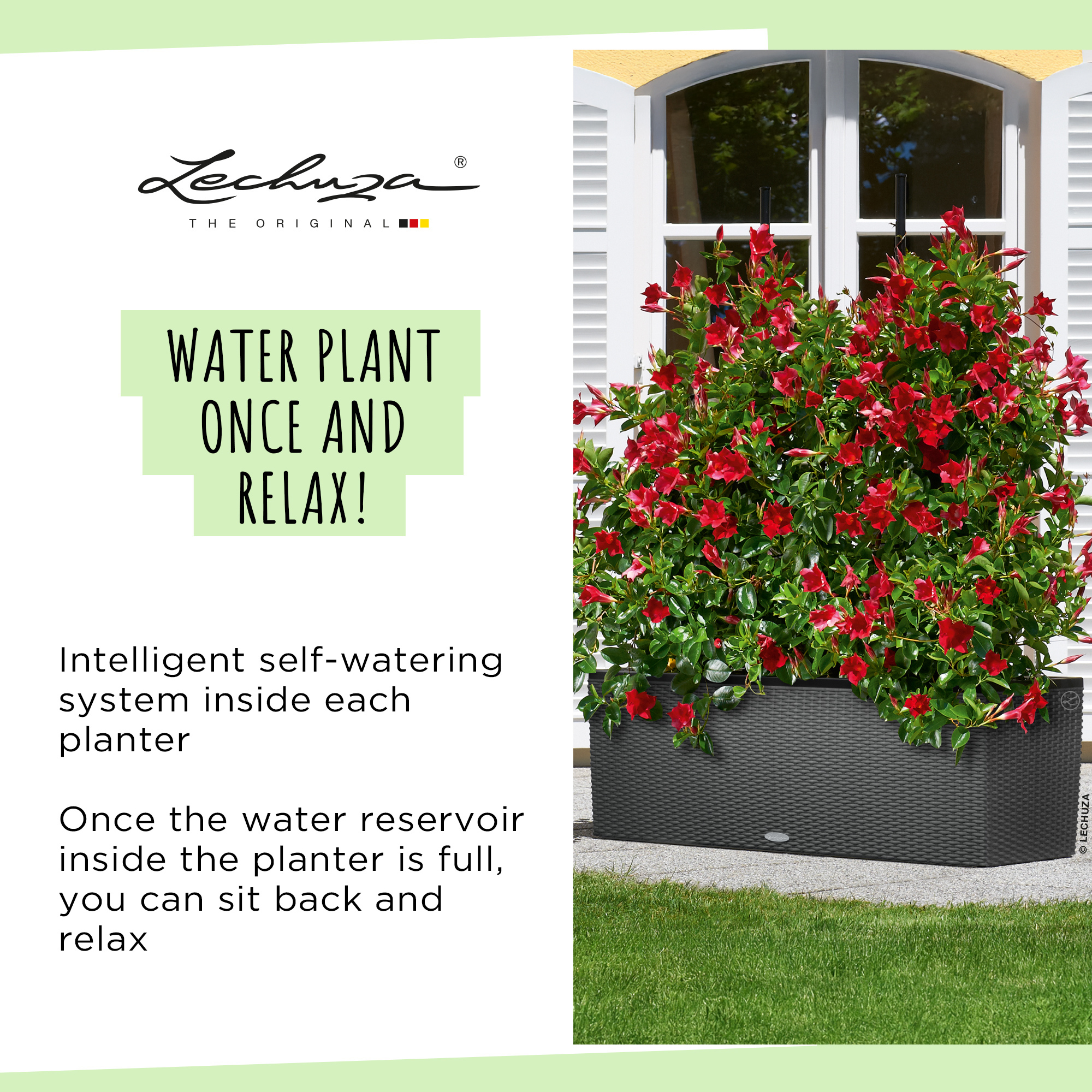 LECHUZA TRIO Cottage Trough Poly Resin Self-watering Planter