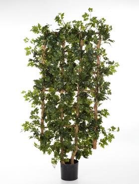 Cissus Artificial Tree Plant