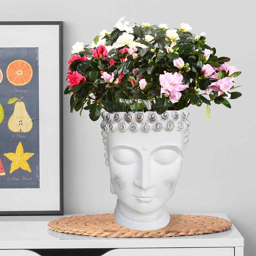 IDEALIST Lite Buddha Face Plant Pot Indoor