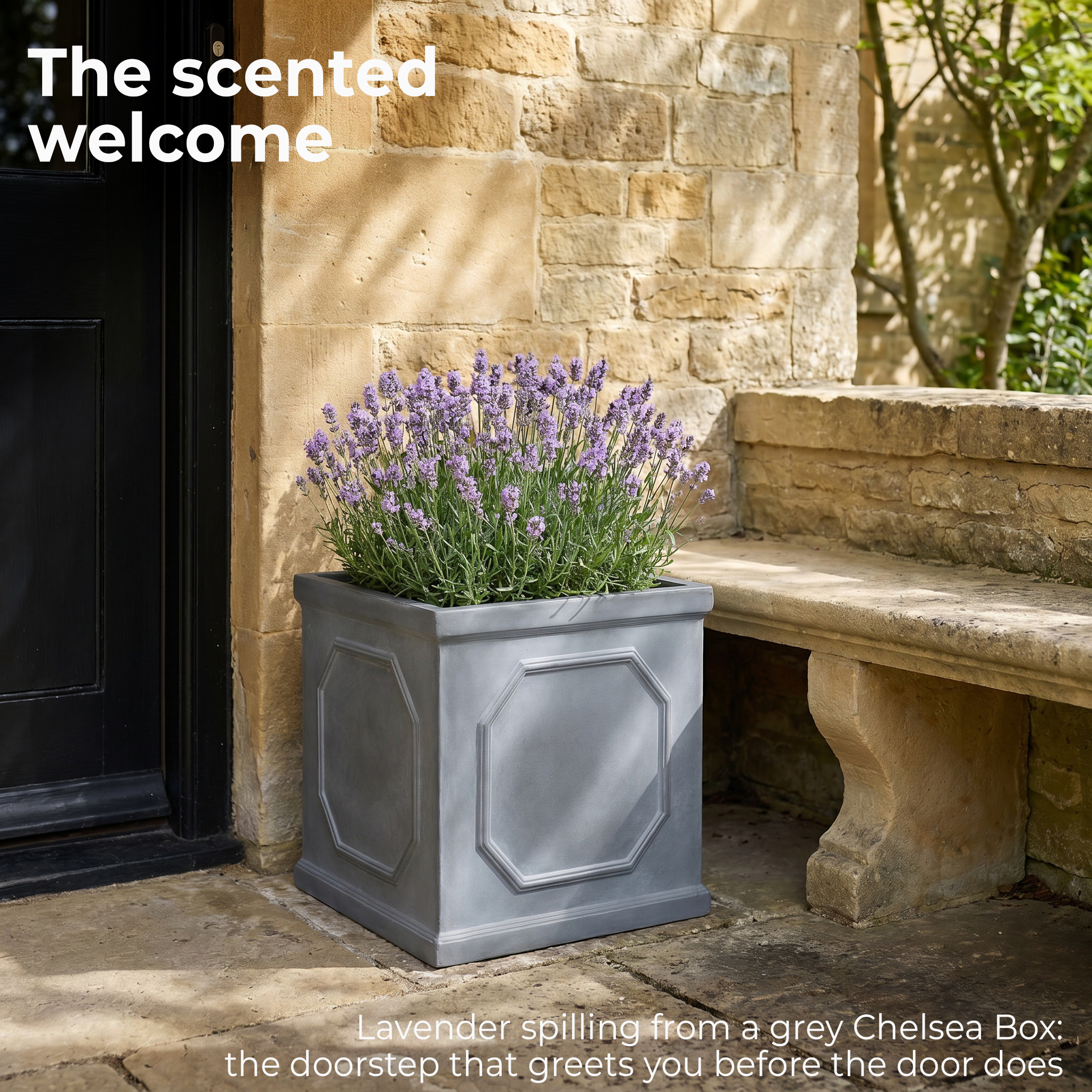 IDEALIST Lite Faux Lead Chelsea Box Square Light Concrete Planter