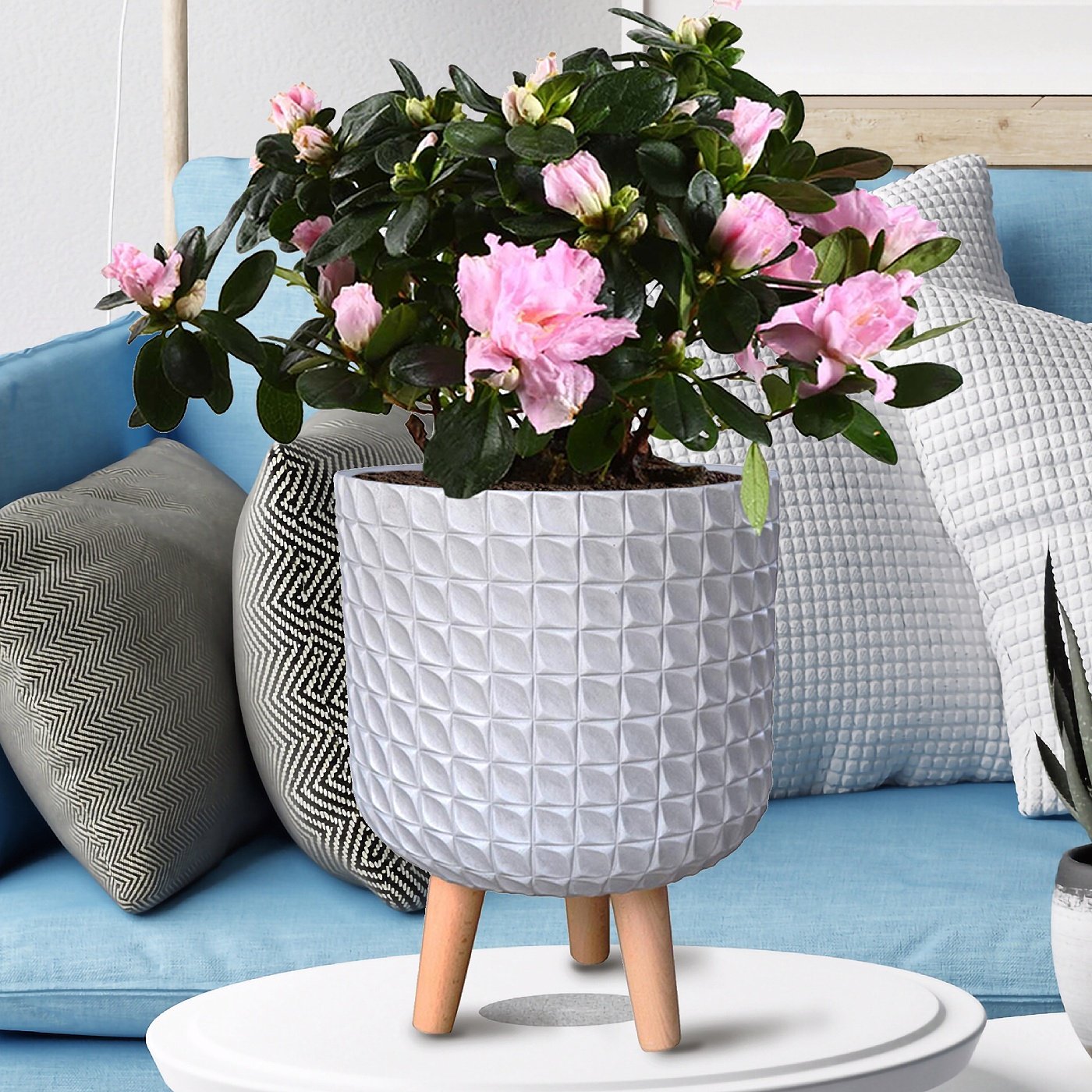 IDEALIST Lite Faceted Effect Planter on Legs