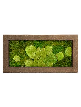 Moss Painting Rock Rectangle