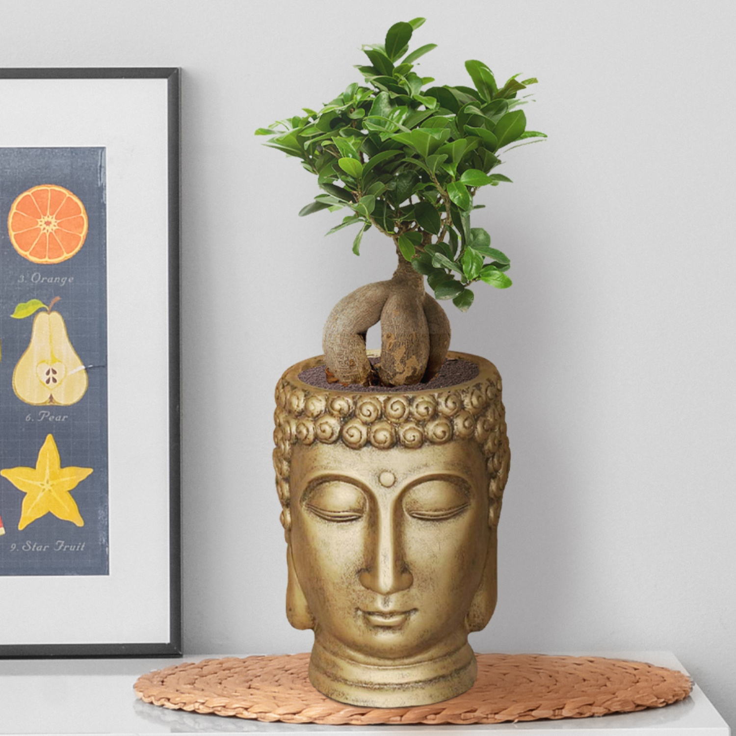 IDEALIST Lite Buddha Face Plant Pot Indoor