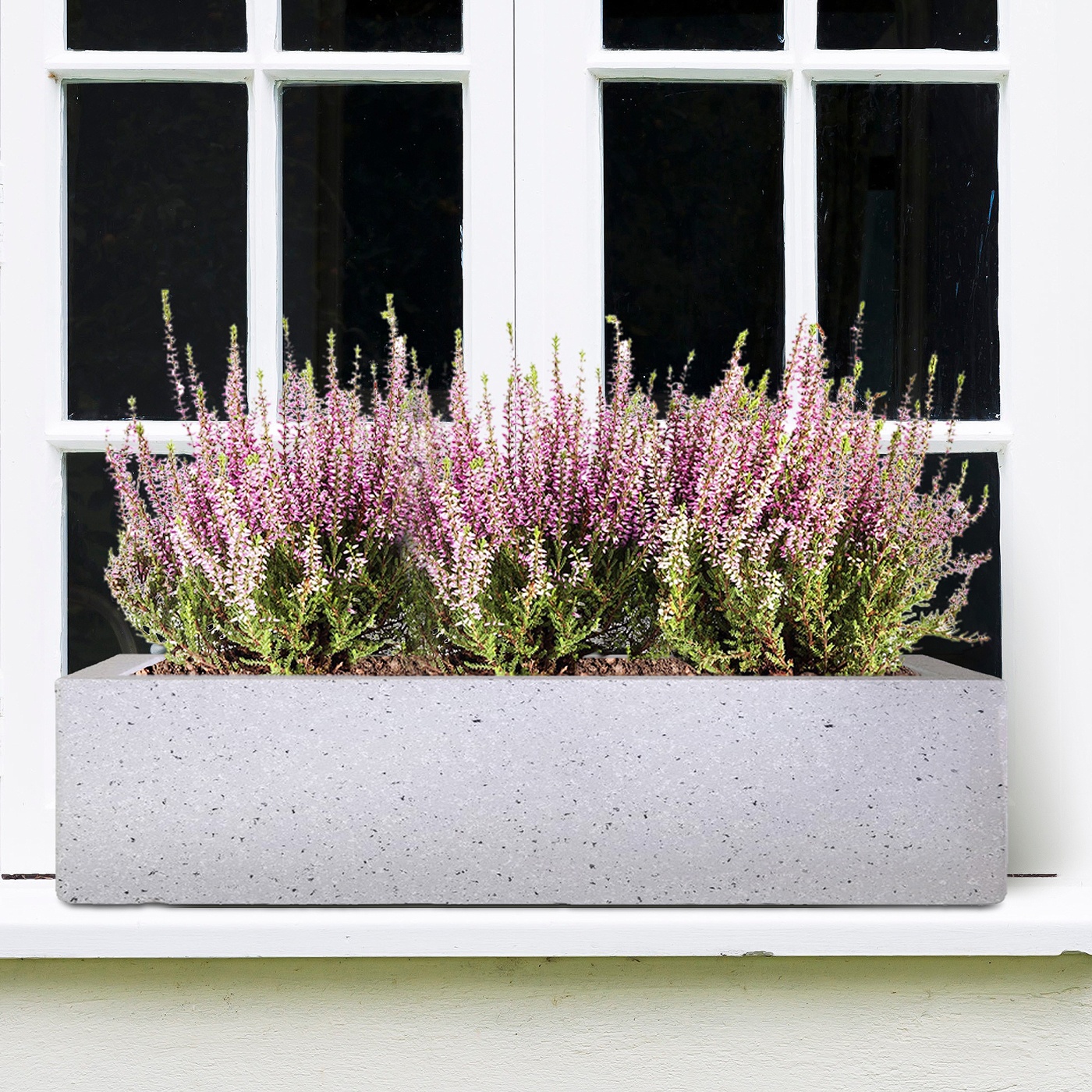 Flowers absorb the good vibes in your home Flowers absorb the good vibes in your home