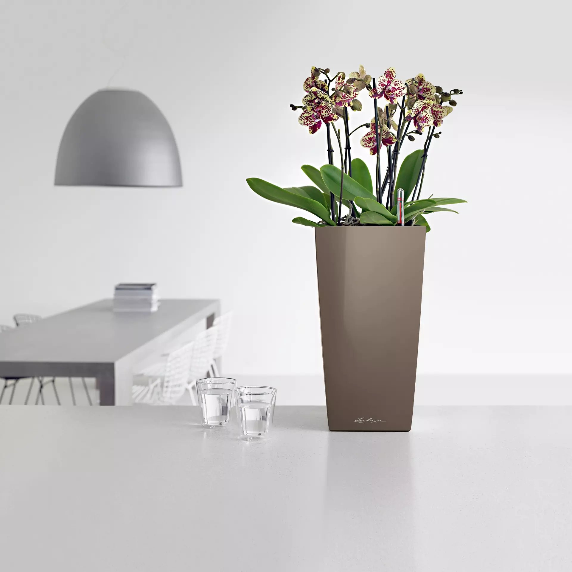 LECHUZA CUBICO Square Tall Poly Resin Self-watering Planter