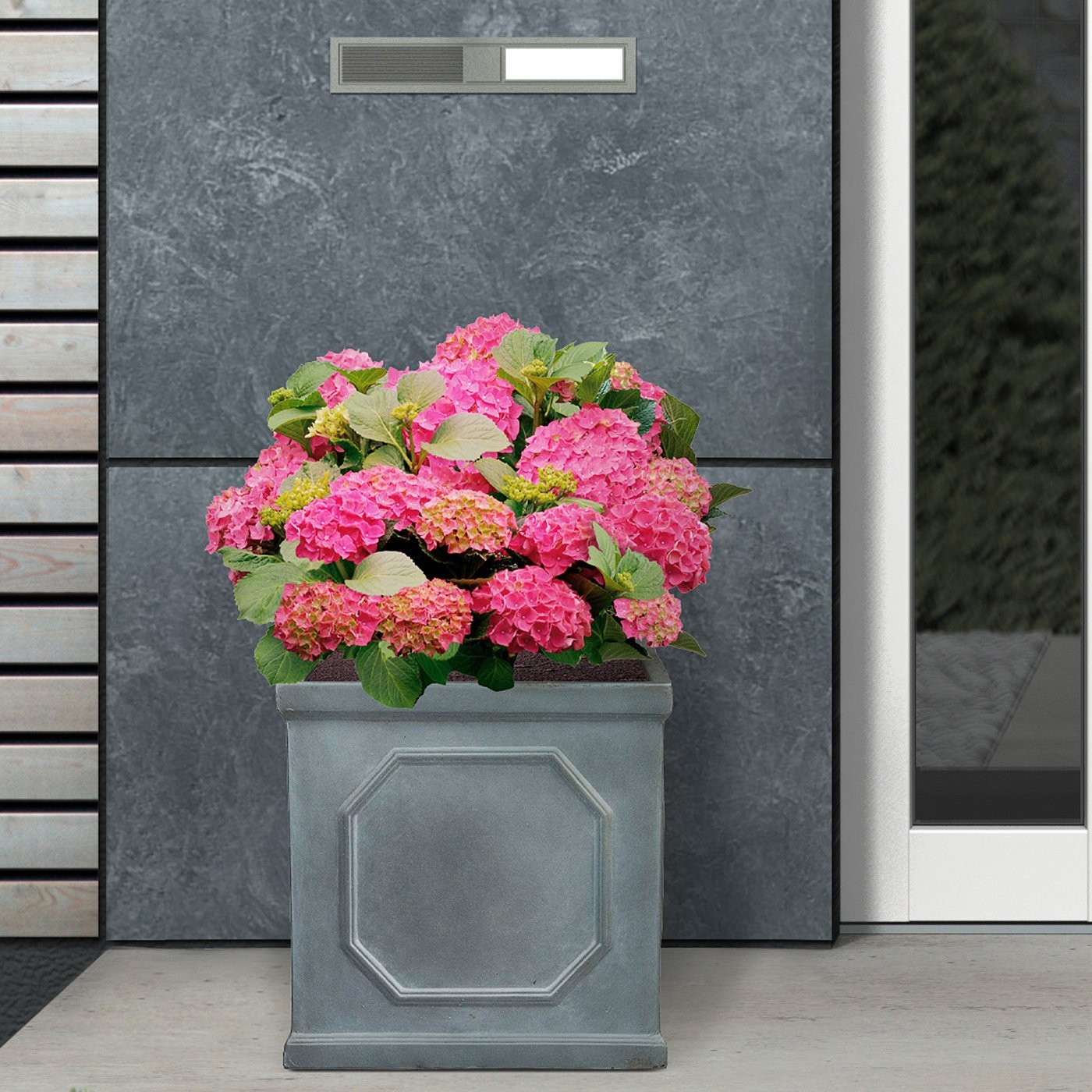 Plastic Planters Buying Guide