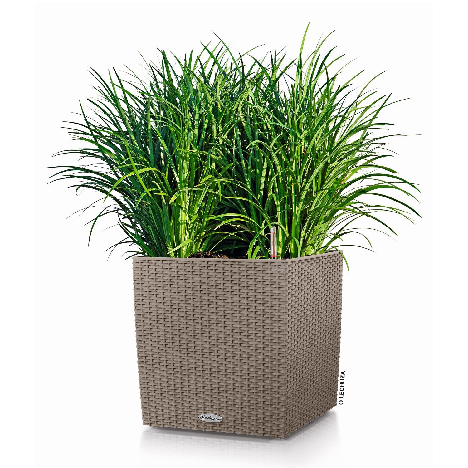 LECHUZA CUBE Cottage Square Poly Resin Self-watering Planter