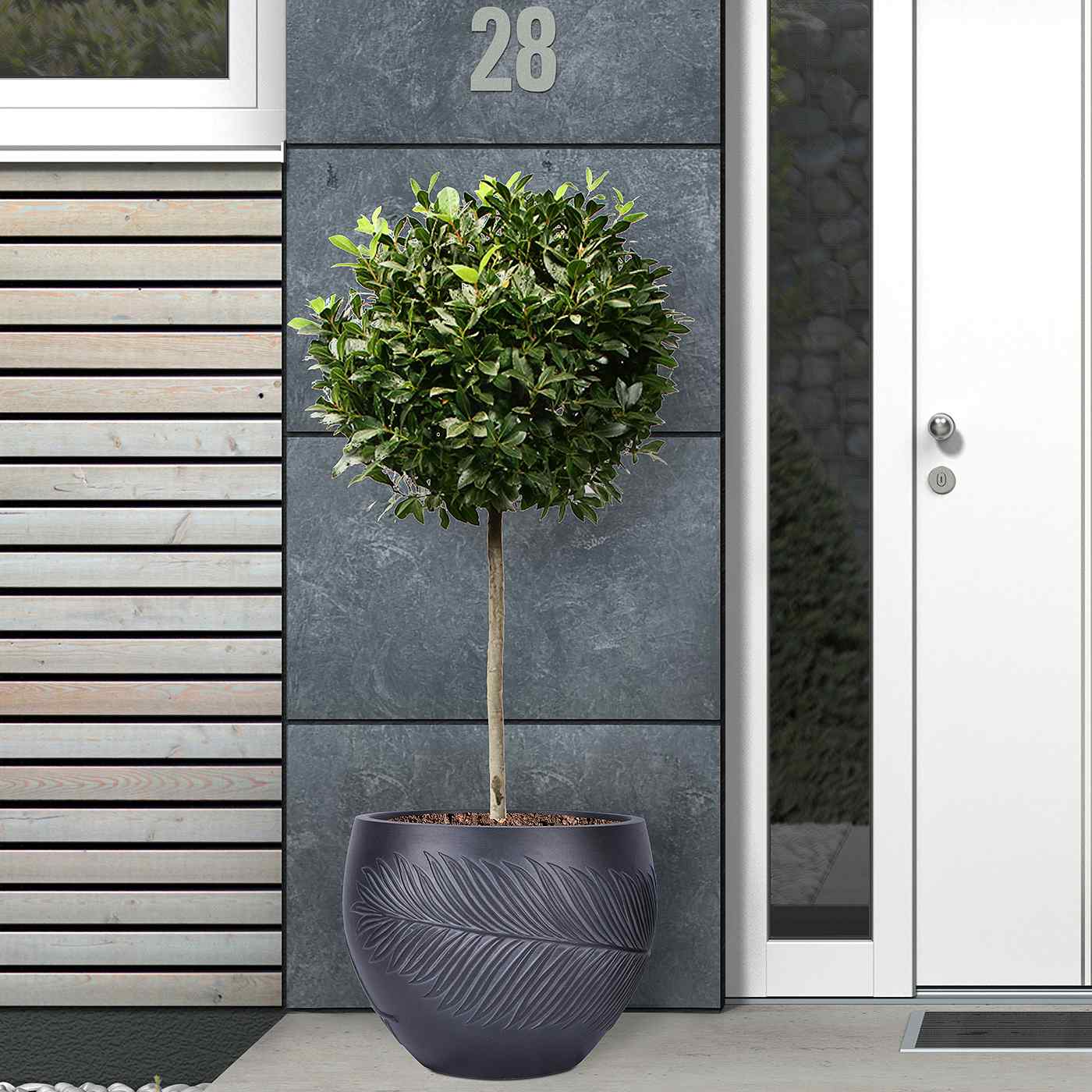 IDEALIST Lite Leaf Embossed Ball Planter
