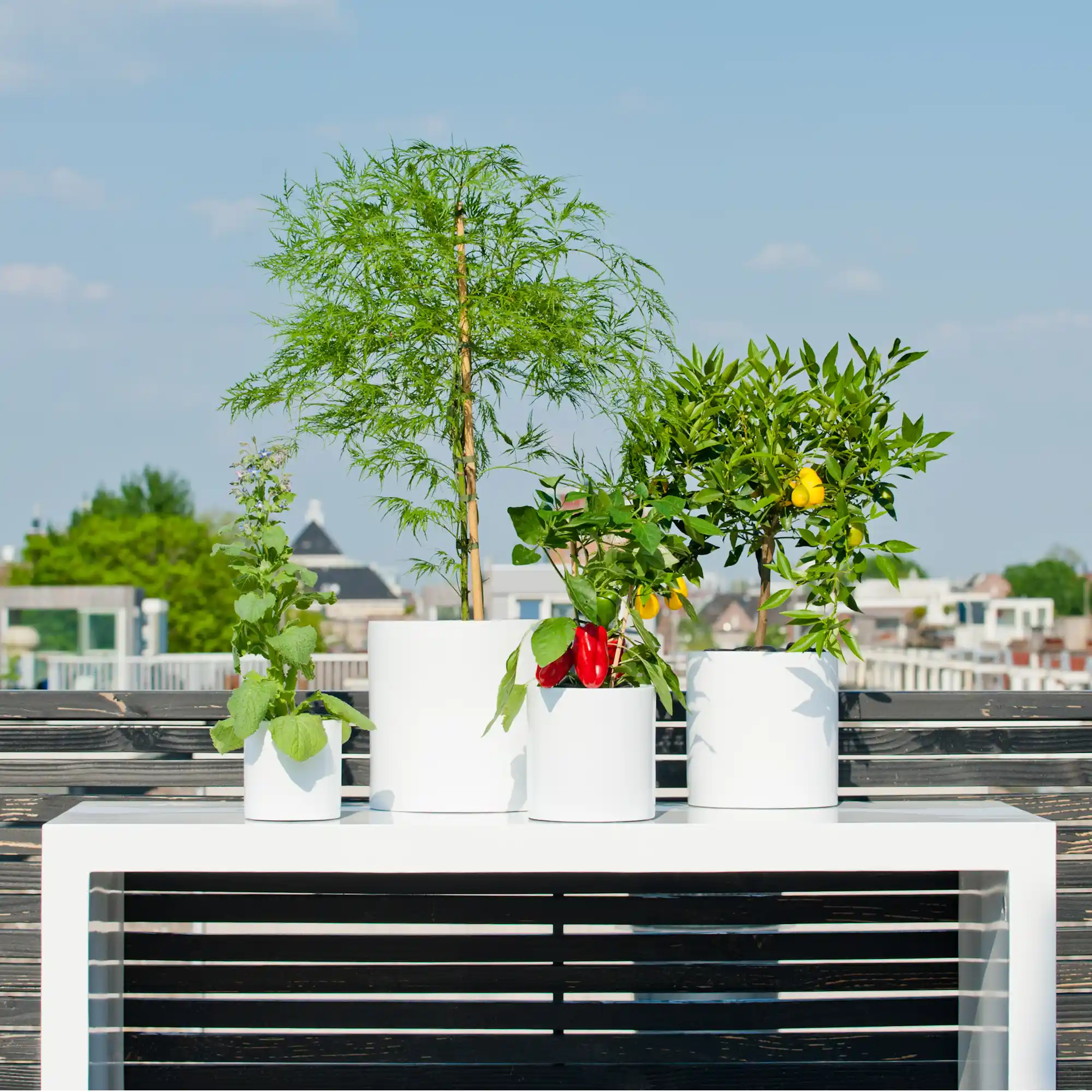 Fibrestone Matt Puk Round Planter by Idealist Premium