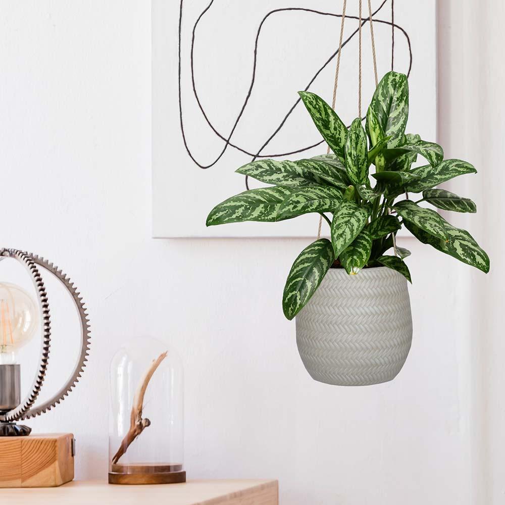 IDEALIST Lite Plaited Style Table and Hanging Plant Pot Dual Use Indoor Egg Planter