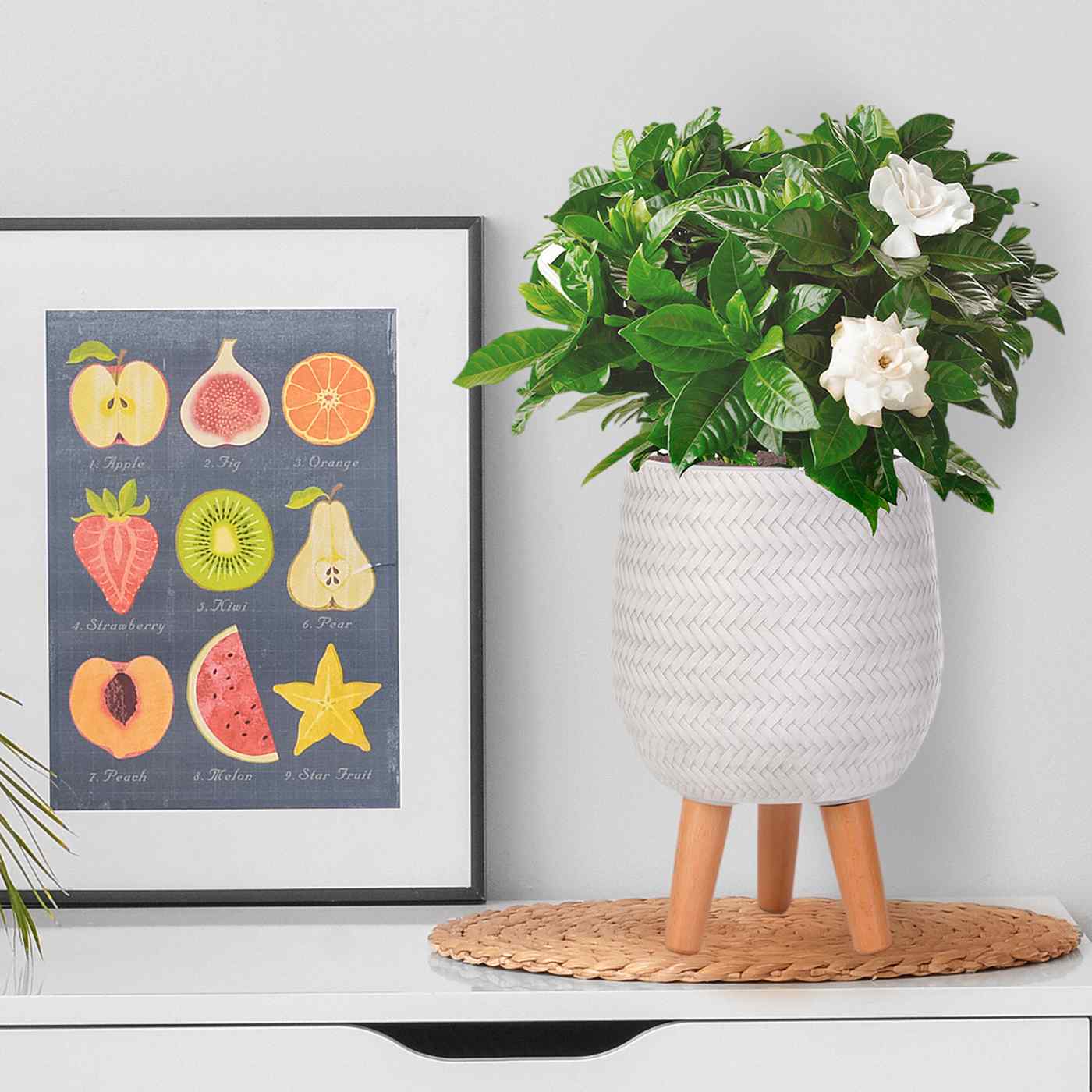 IDEALIST Lite Plaited Style Egg Planter on Legs, Round Pot Plant Stand Indoor